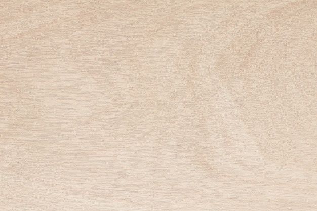 Překližka - Bříza