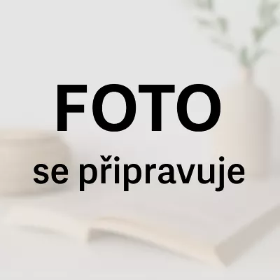 Designové poštovní schránky s gravírováním – styl a funkčnost v jednom